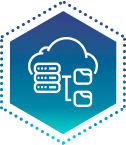 Network Penetration Testing